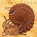 Cephalopoda Ammonite
