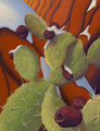 Jemez Cactus